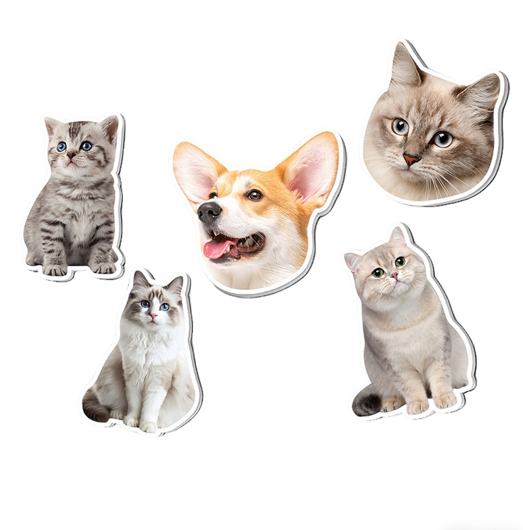 Custom Acrylic Magnet